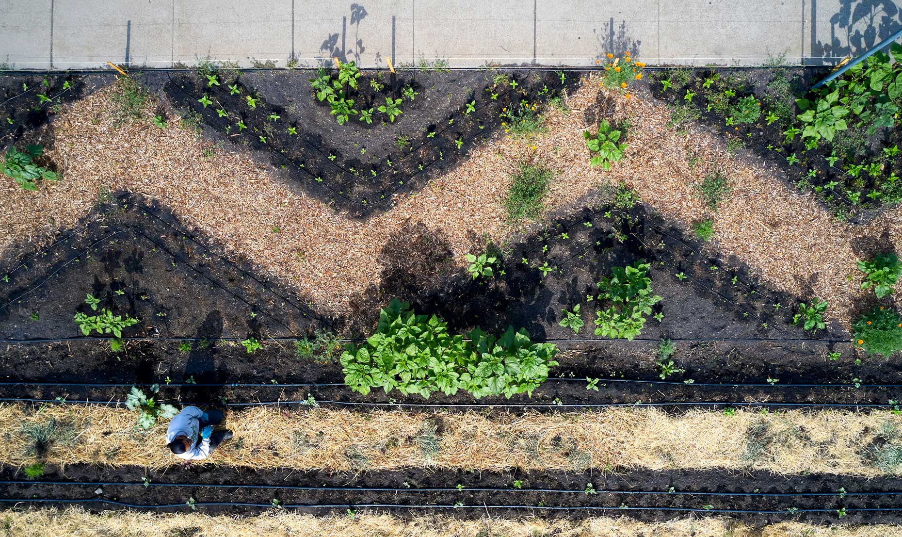 Drone View of Urban Farm Design