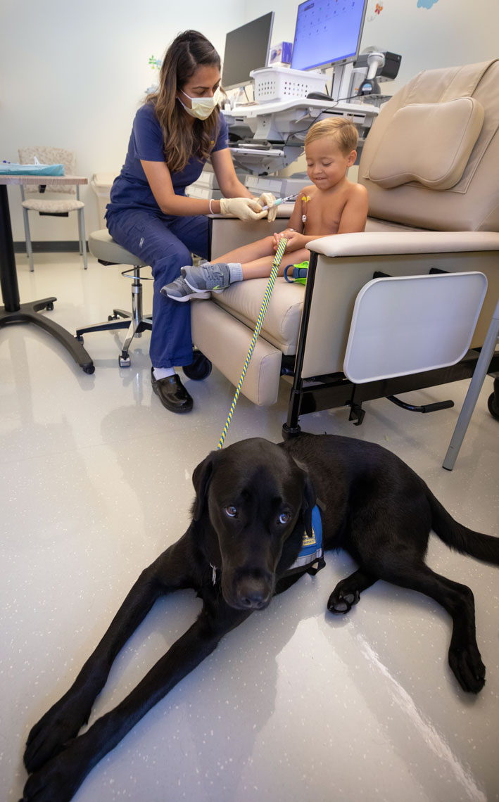Pediatric Oncology Support Dog