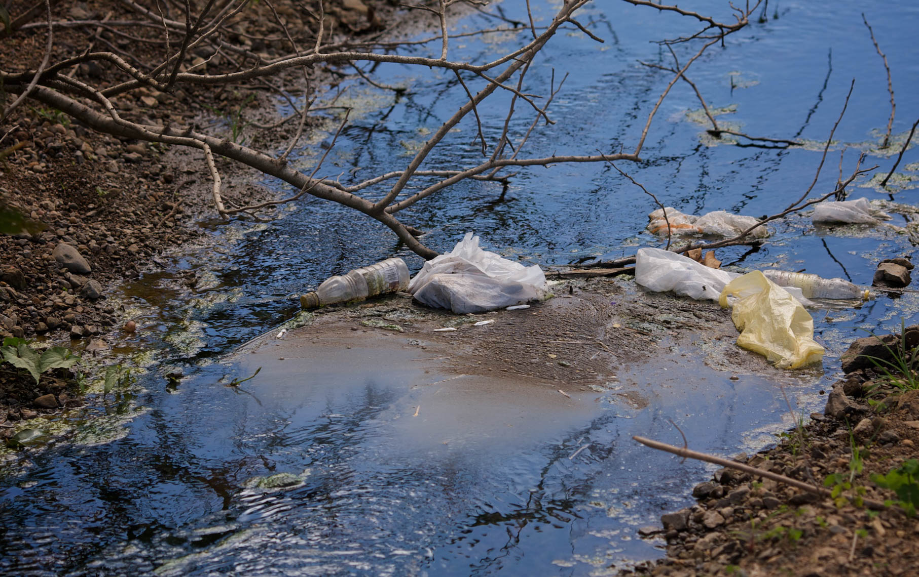 Trash in a Waterway