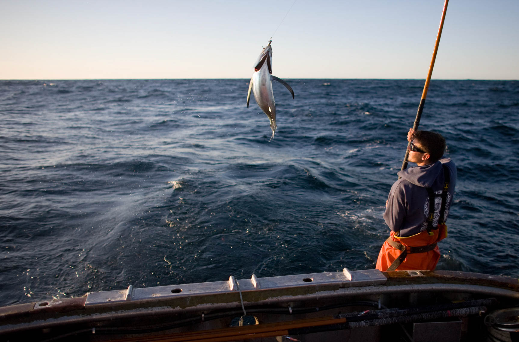Hook & Line Sustainable Albacore Tuna Fishery