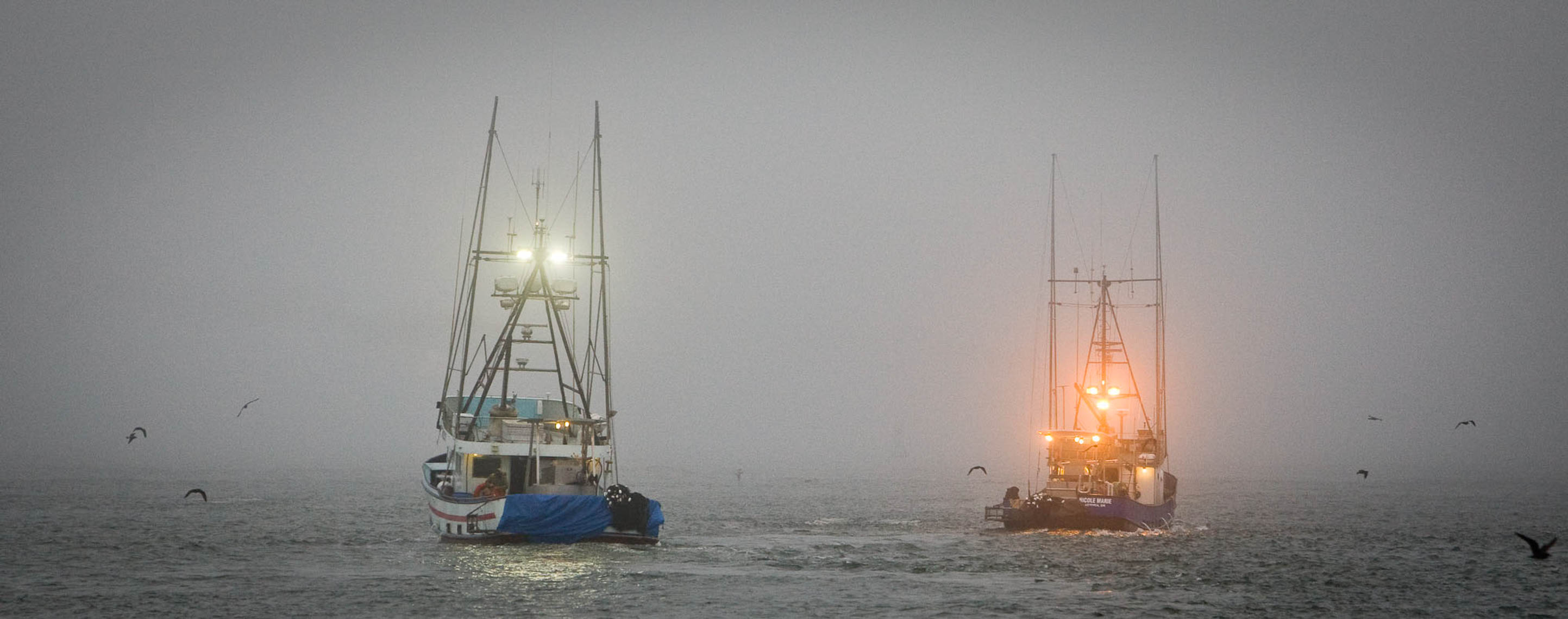 Tuna Boats in the Fog
