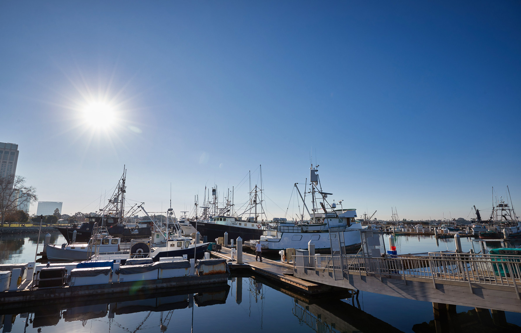 Commercial Fishing Boats Docked in San Diego Bay