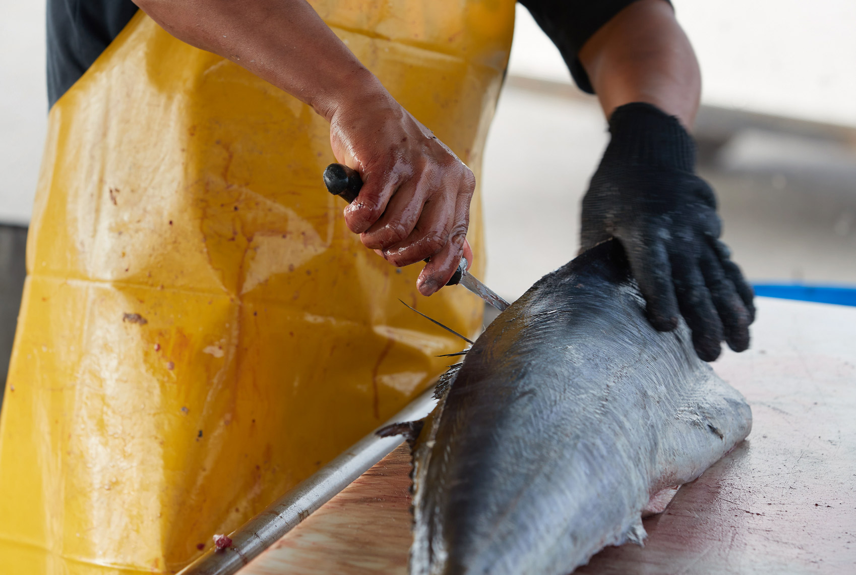 Fish Being Prepared for a Customer at Tuna Harbor