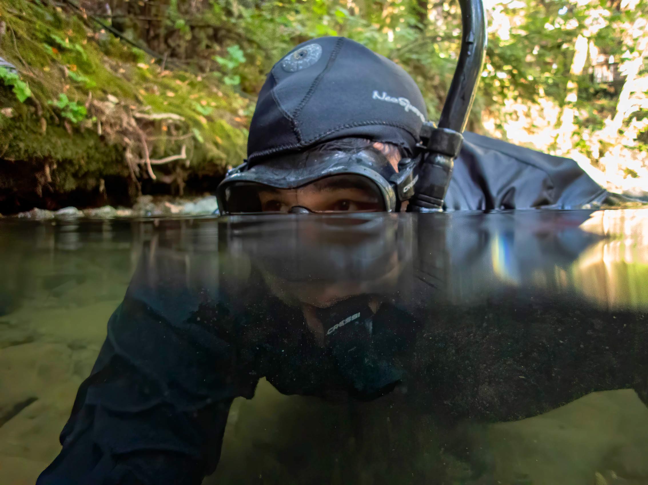 Researcher in Wetsuit Swims in Stream