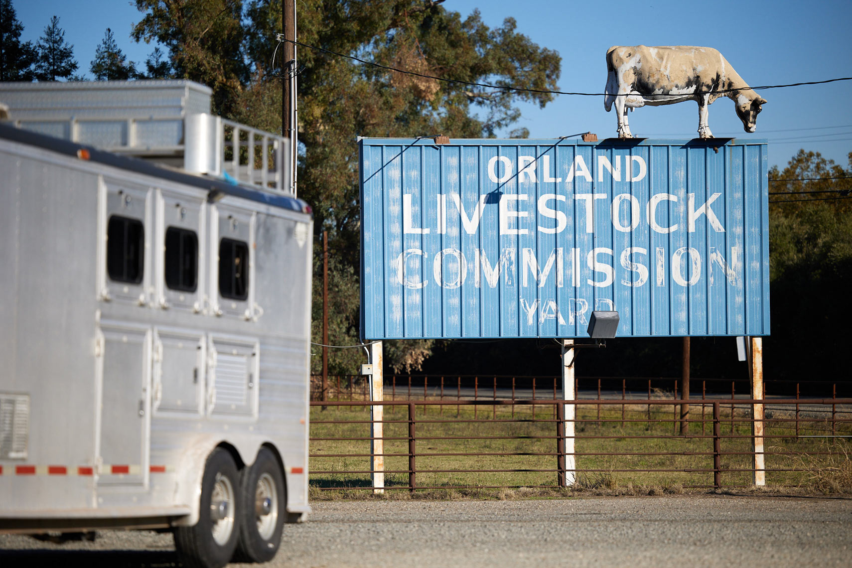 Orland Livestock Commission Yard