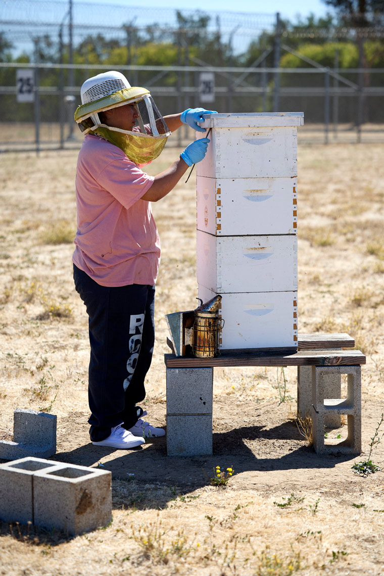 fg_inmate_beekeepers_2022_08_24_F351083