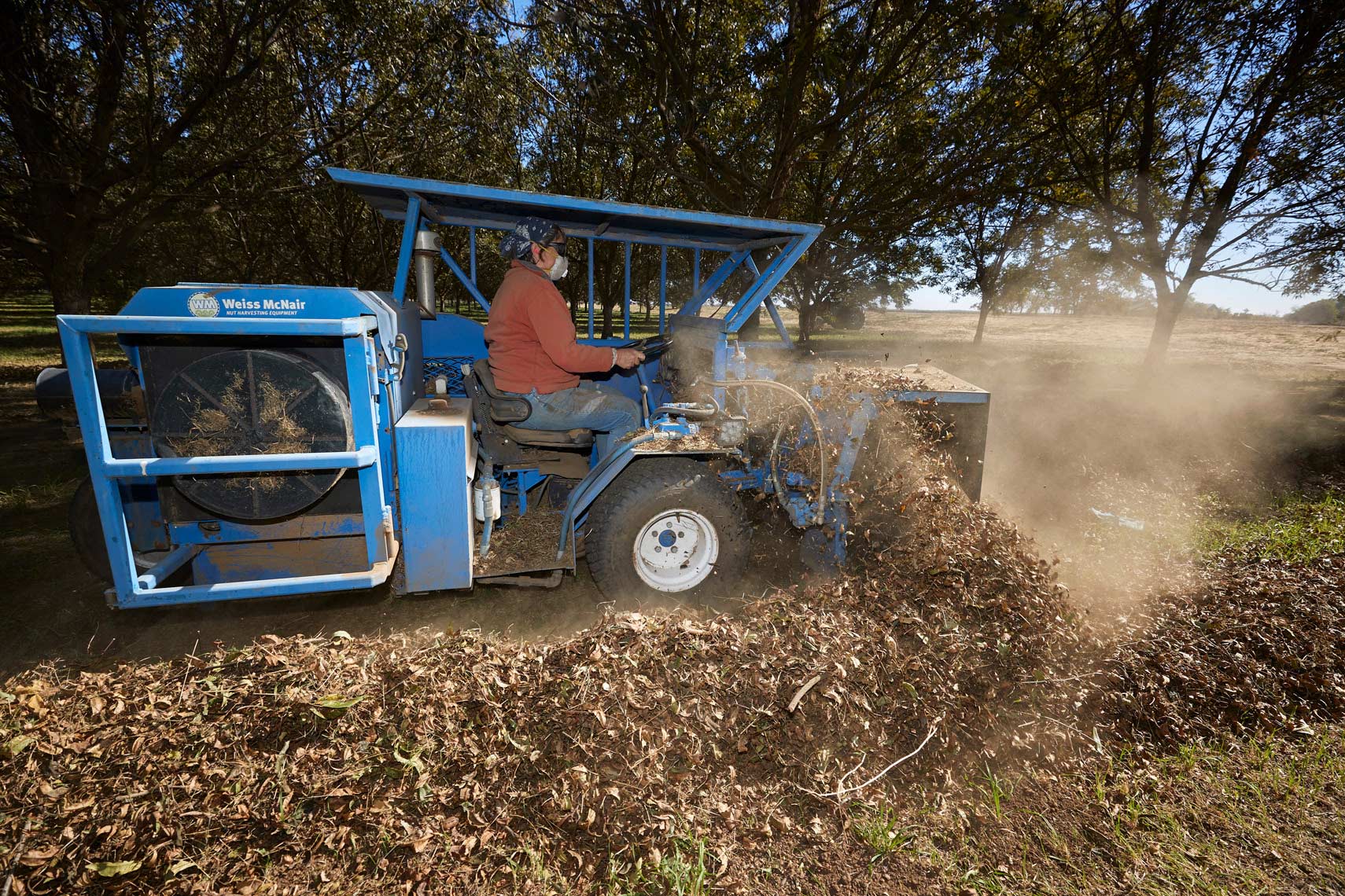 Sweeper Collecting Pecans