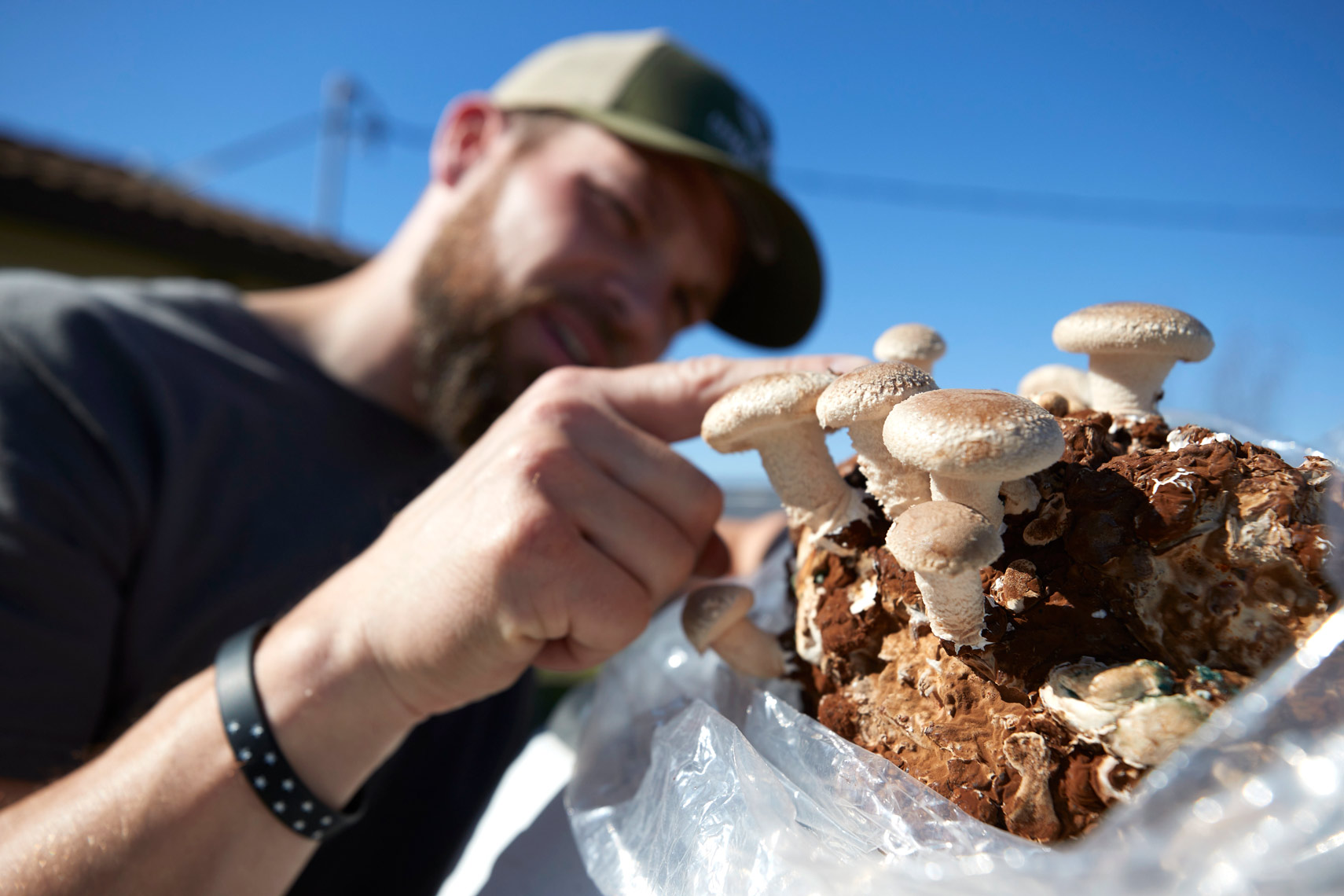 Mushroom Farmer with Mushrooms