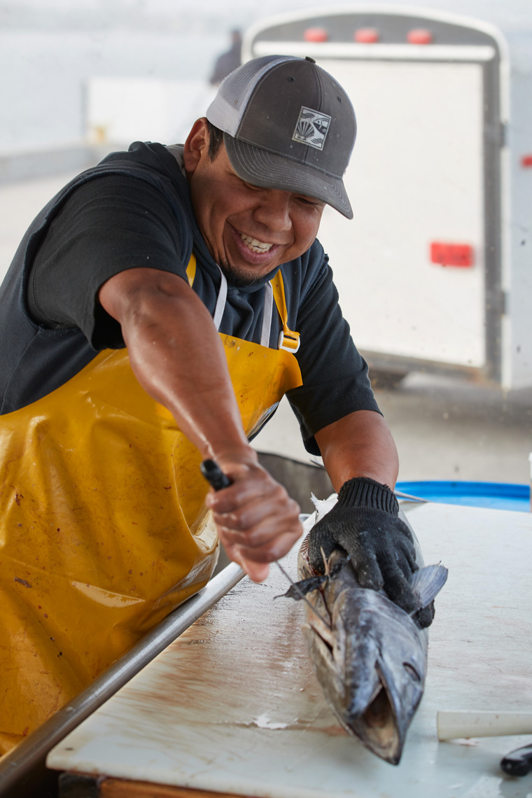 A Worker Prepares a fish at Tuna Harbor Cutting Station